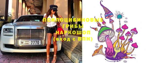 спайс Алексин