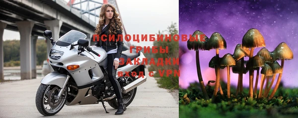 спайс Алексин